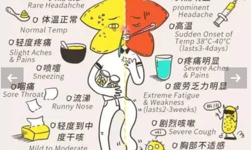 百令片一次吃4片少吗-百令片说明书一次吃五片网 :分享百令片一次吃几片效果最好-百令片为啥有吃5片呢知识